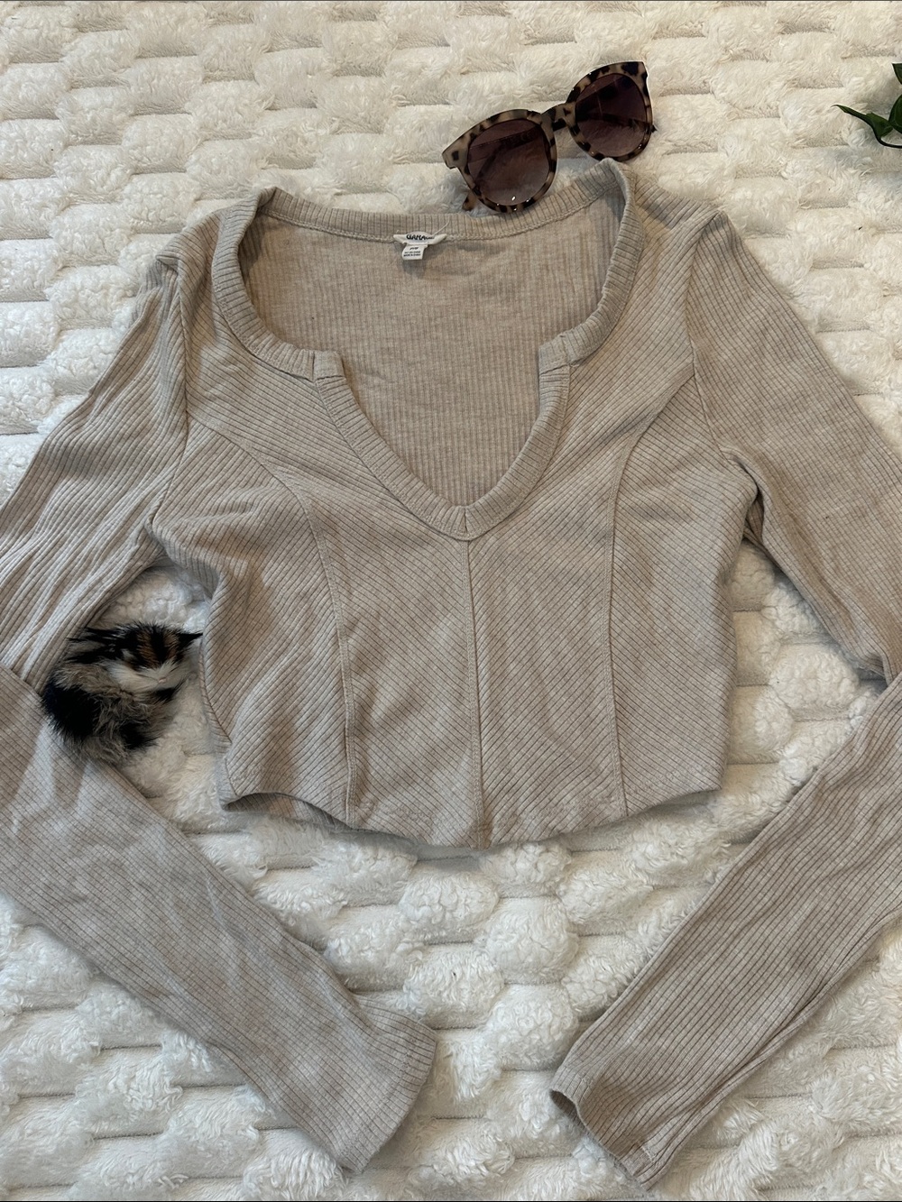 Garage Ribbed V-Neck Long Sleeve Crop Top - Taupe
